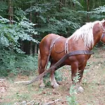 Rifugio Casello Margherita カミリアテッロ・シラーノ
