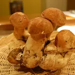 Rifugio Casello Margherita ホテル 3*