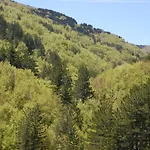Hotel Rifugio Casello Margherita 3*