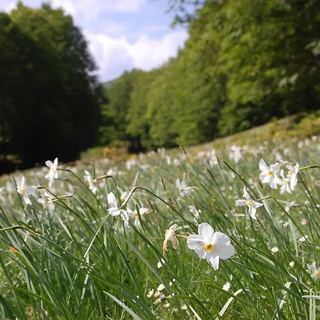 Rifugio Casello Margherita 호텔 카미글리아텔로 실라노
