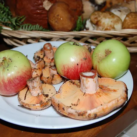 Rifugio Casello Margherita 卡迈格拉特罗希拉诺