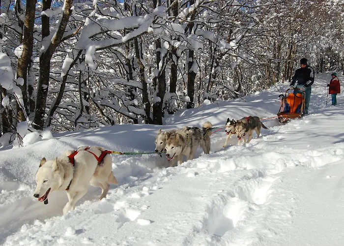 Hotel Rifugio Casello Margherita Camigliatello Silano