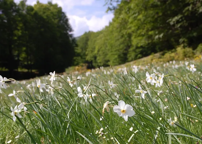 Rifugio Casello Margherita Hotel Camigliatello Silano