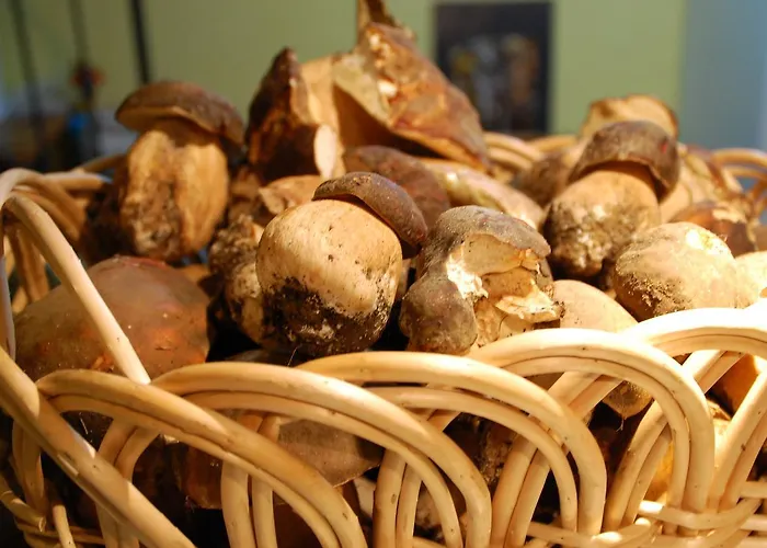 Rifugio Casello Margherita 3* Camigliatello Silano