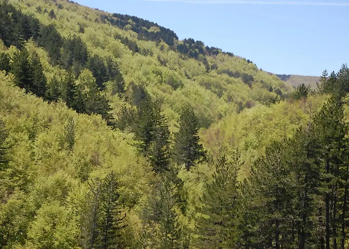 מלון Rifugio Casello Margherita 3*